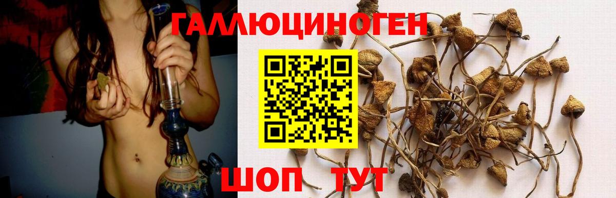 Галлюциногенные грибы Cubensis  Вход с VPN  Чита 